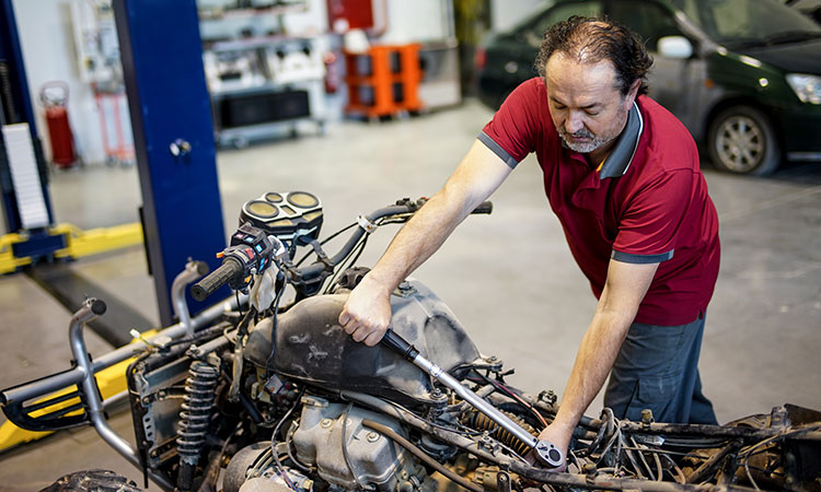 Empleo Mecánico de Coches